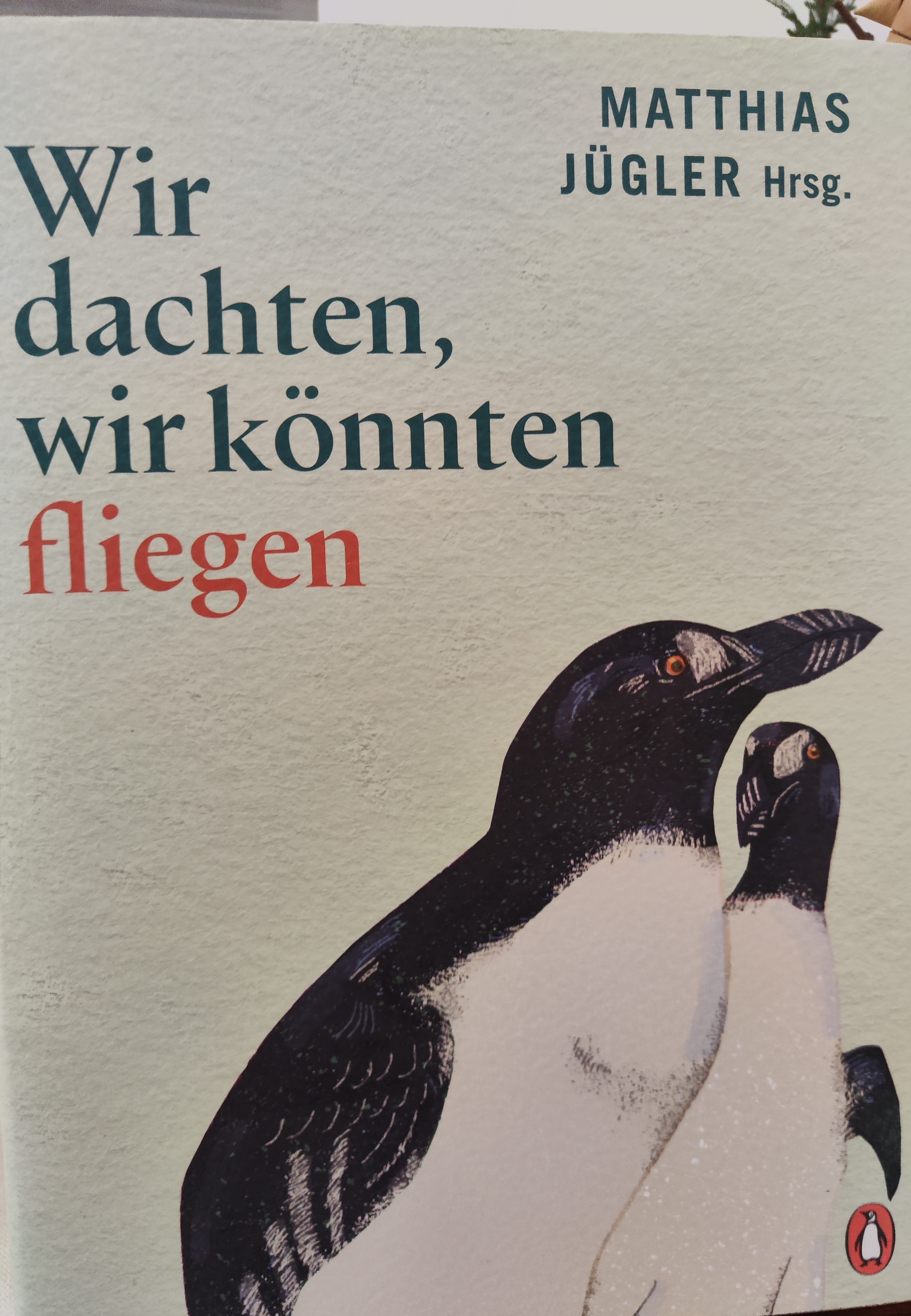 Wir dachten wir könnten fliegen
