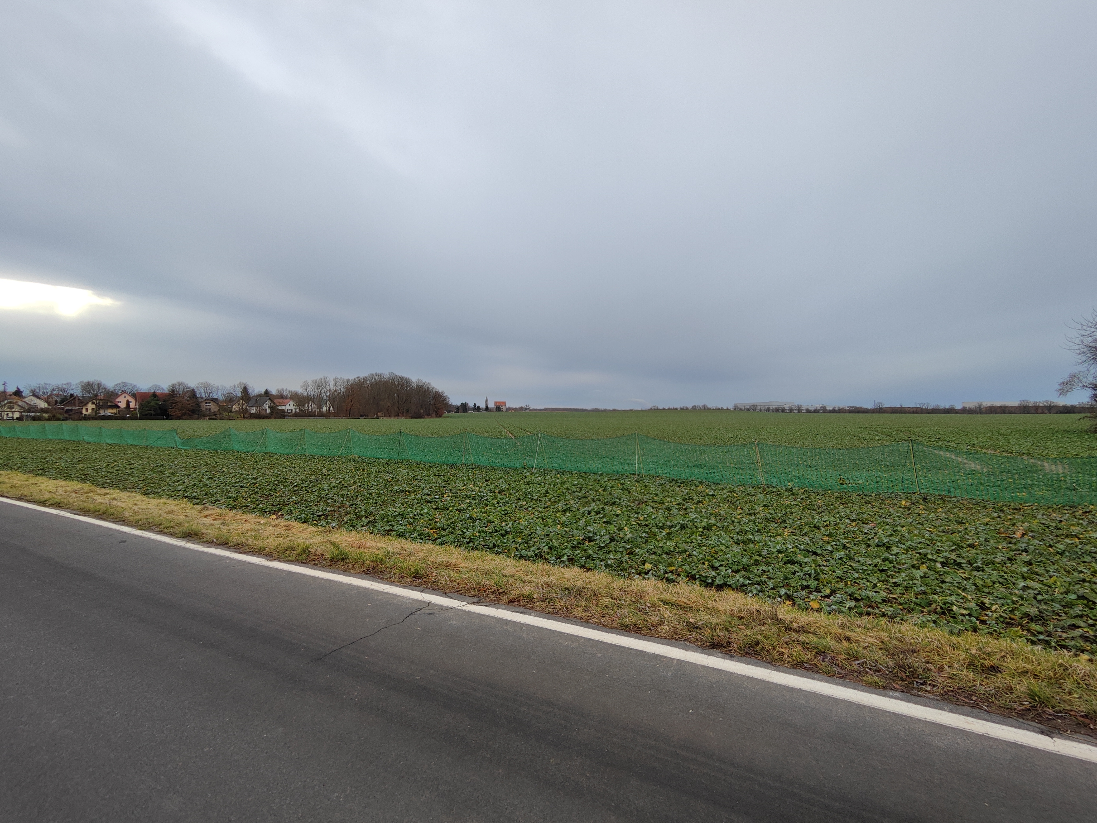 Fläche fürs Industriegebiet