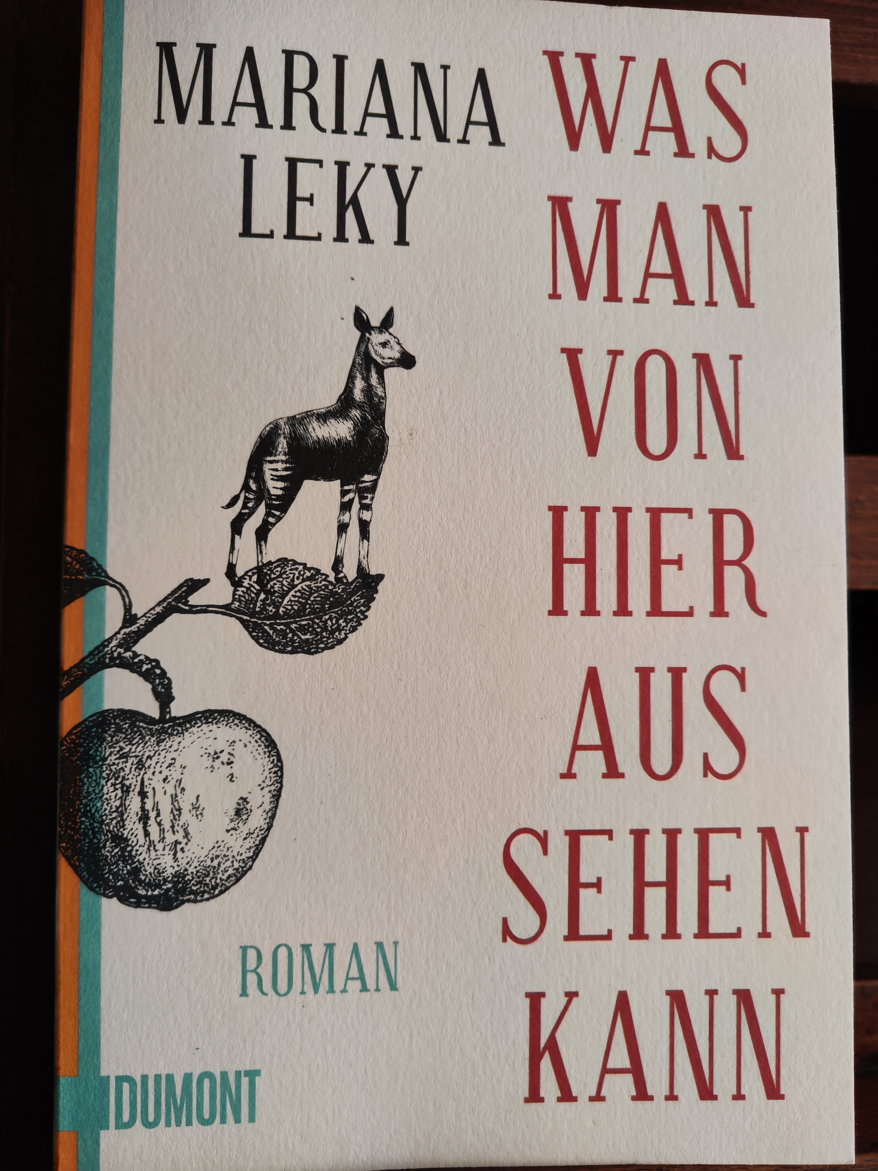 Buchvorstellung Reki
